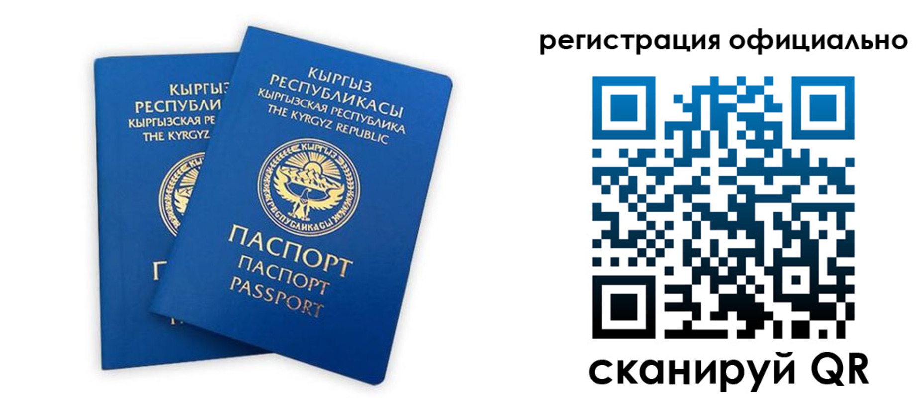 прописка поиск в Скопине